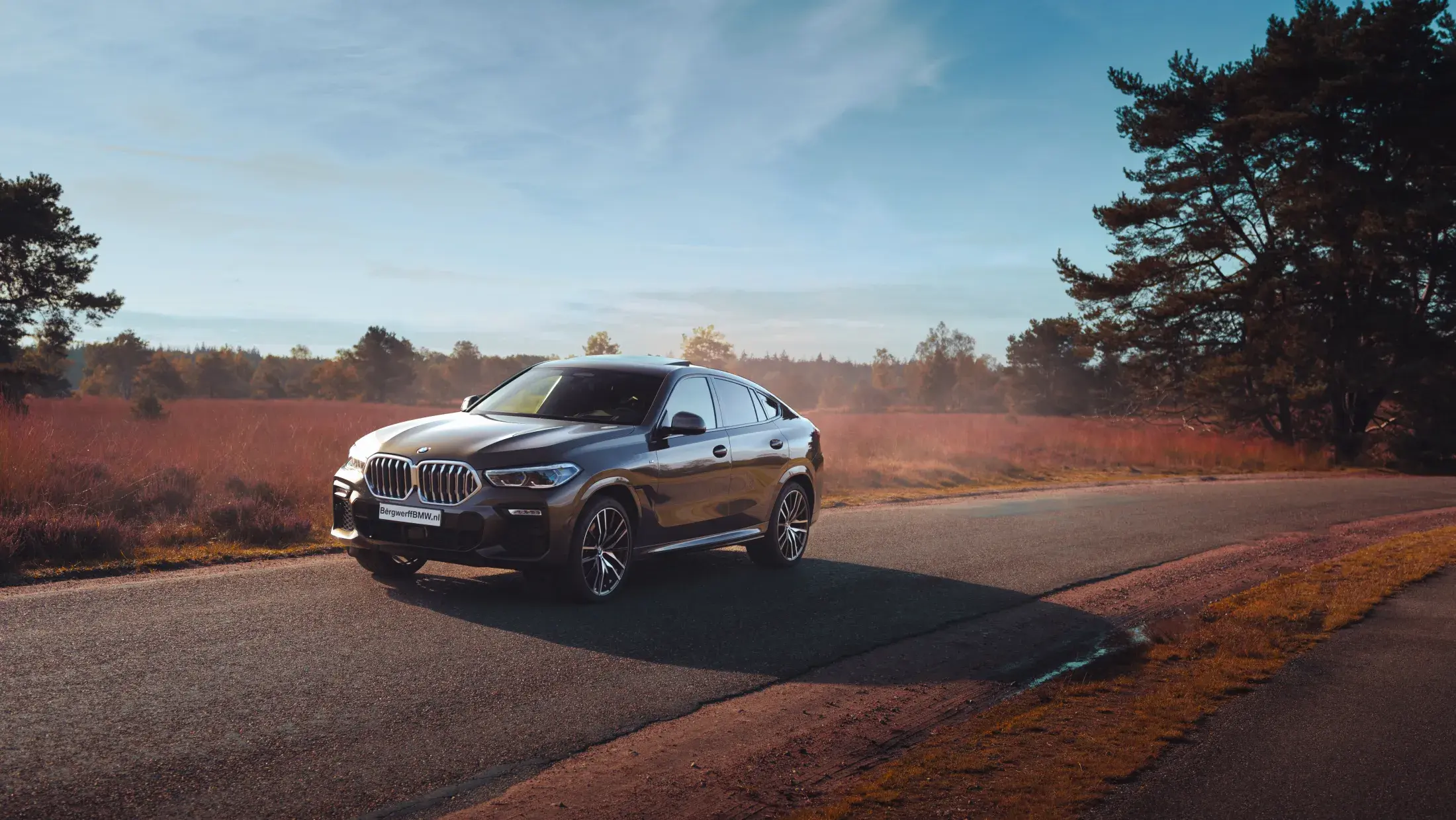 BMW X6 xDrive40i Manhattan Metallic