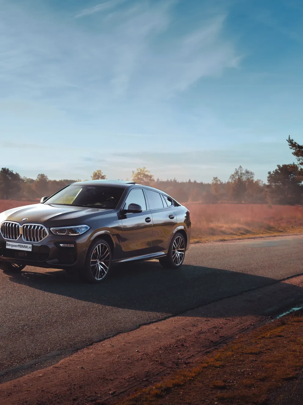 BMW X6 Manhattan Metallic