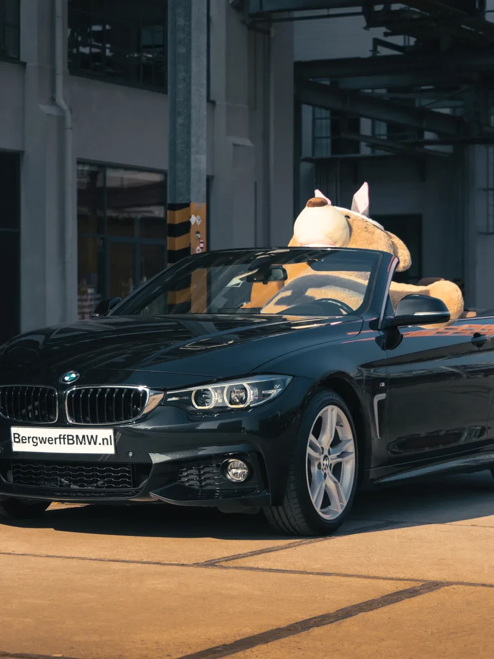 BMW 430i Cabrio Saphir Zwart F33 Leder Dakota Elfenbeinweiss Accent Oyster Schwarz 2019