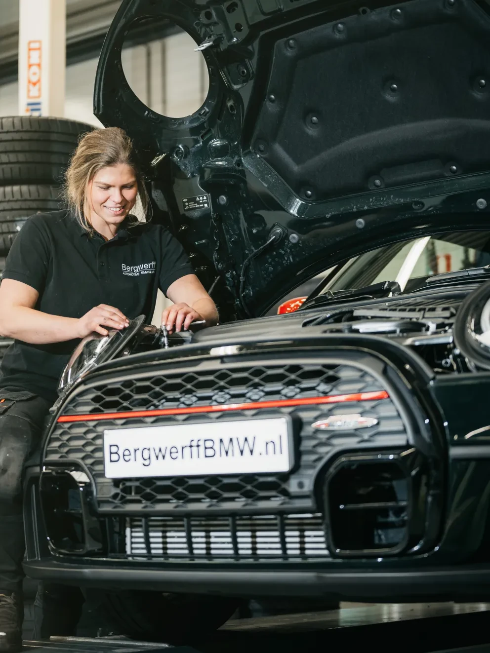 BMW Service Inclusive BMW en MINI Bergwerff Gorinchem